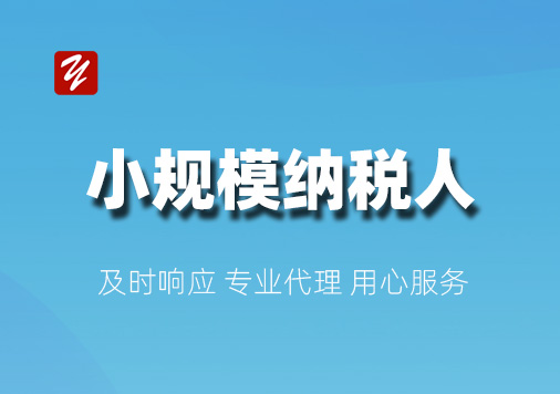 小规模纳税人记账报税