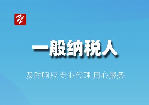 一般纳税人记账报税